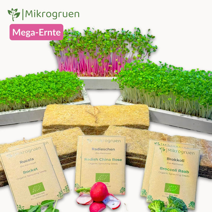Microgreens Maxi Set