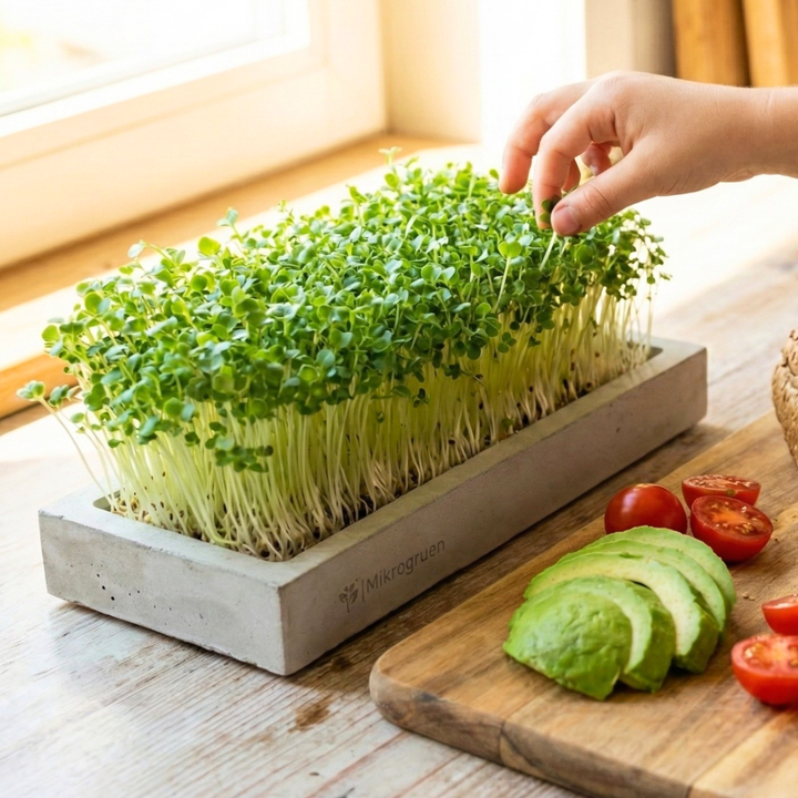 Microgreens Starter Set