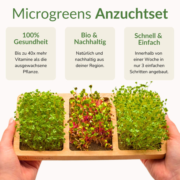 Microgreens Grow Kit - Real Wood Dream