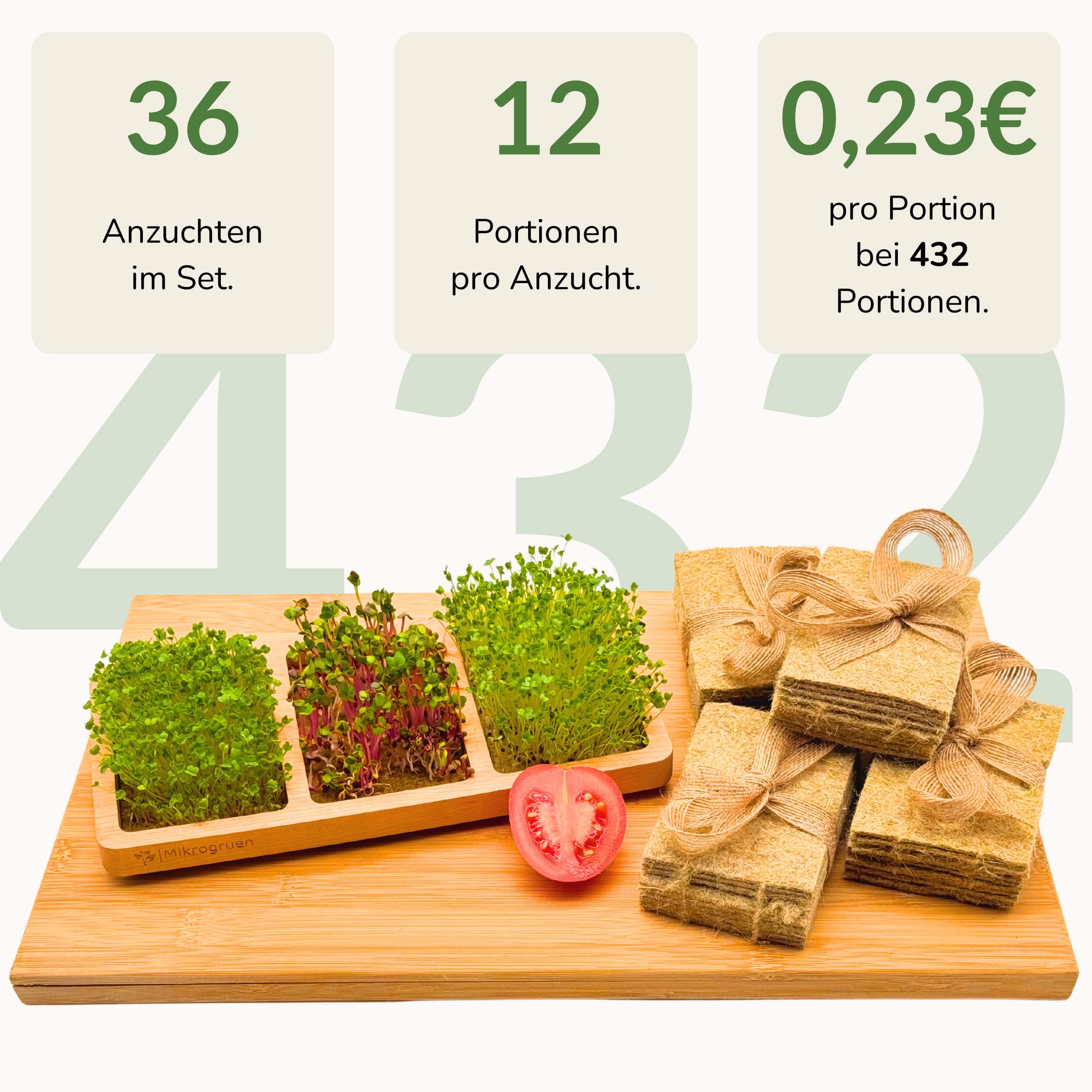 Microgreens Grow Kit - Real Wood Dream