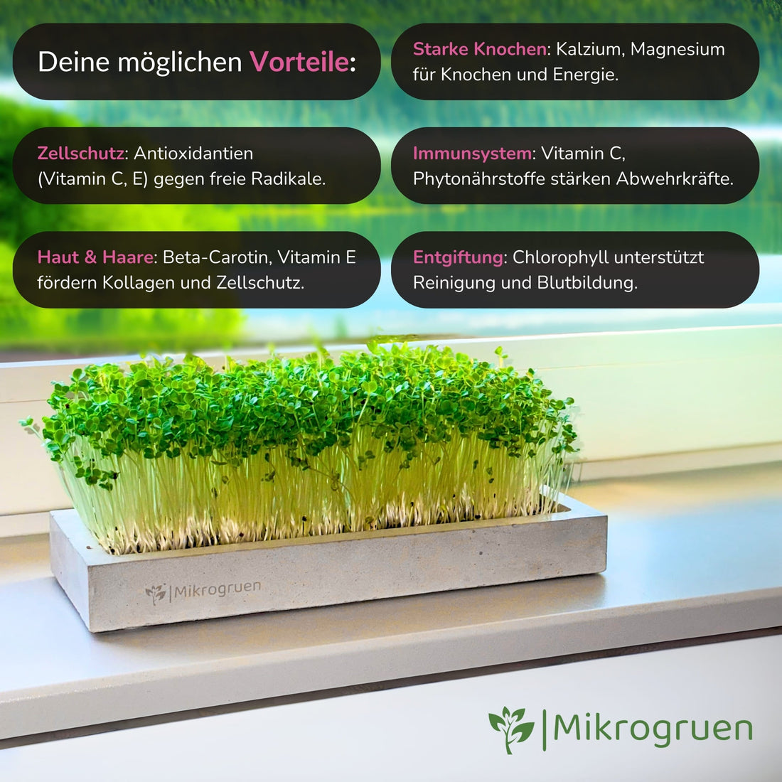 Microgreens Refill Kit