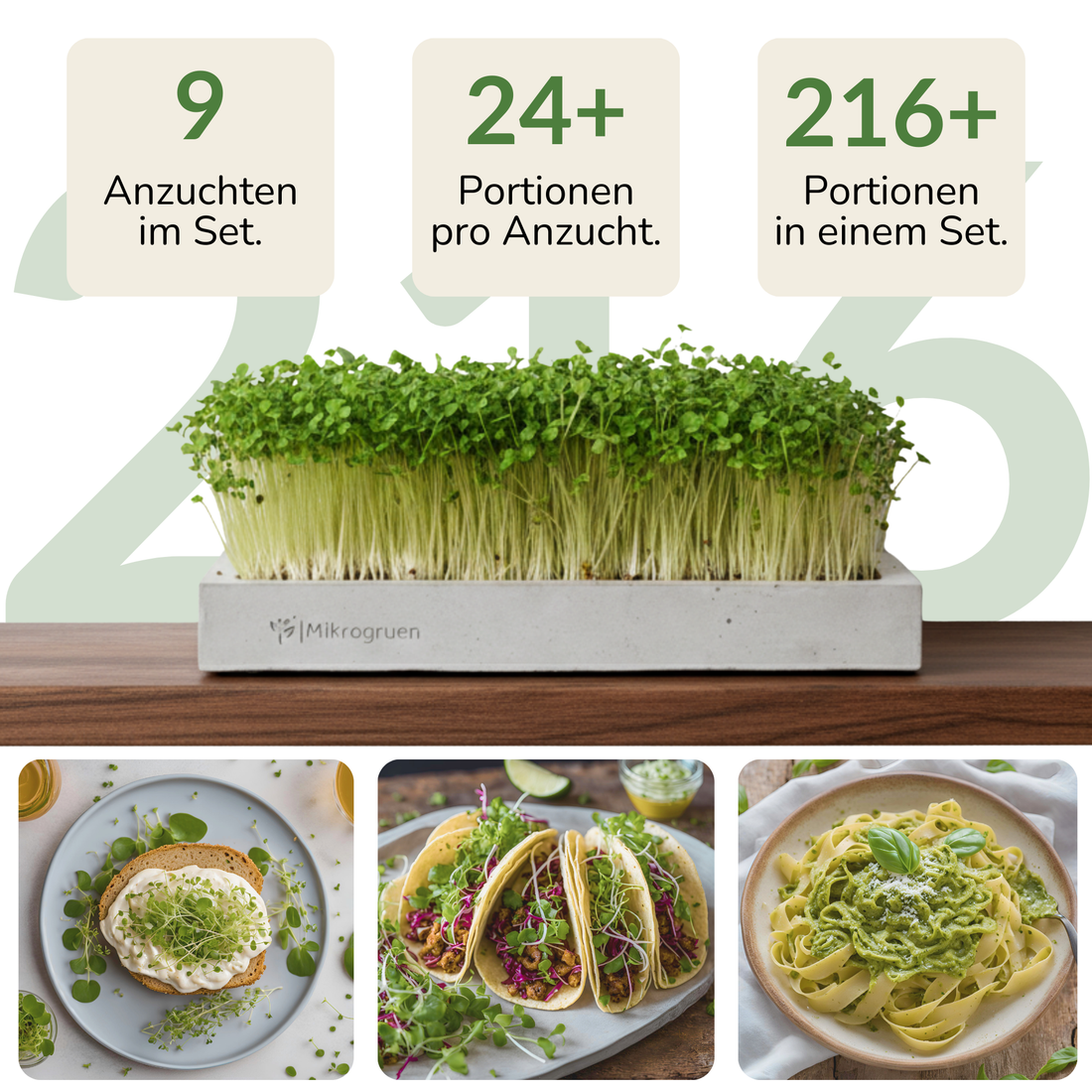 Microgreens Starter Set