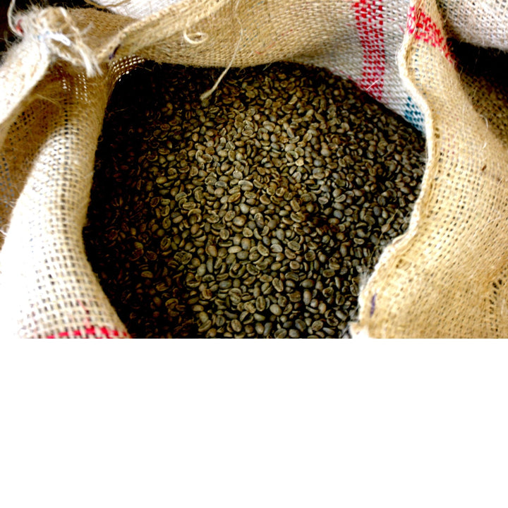 JOLLY Caffé - Florence Blend 1000g Beutel - Bohnen