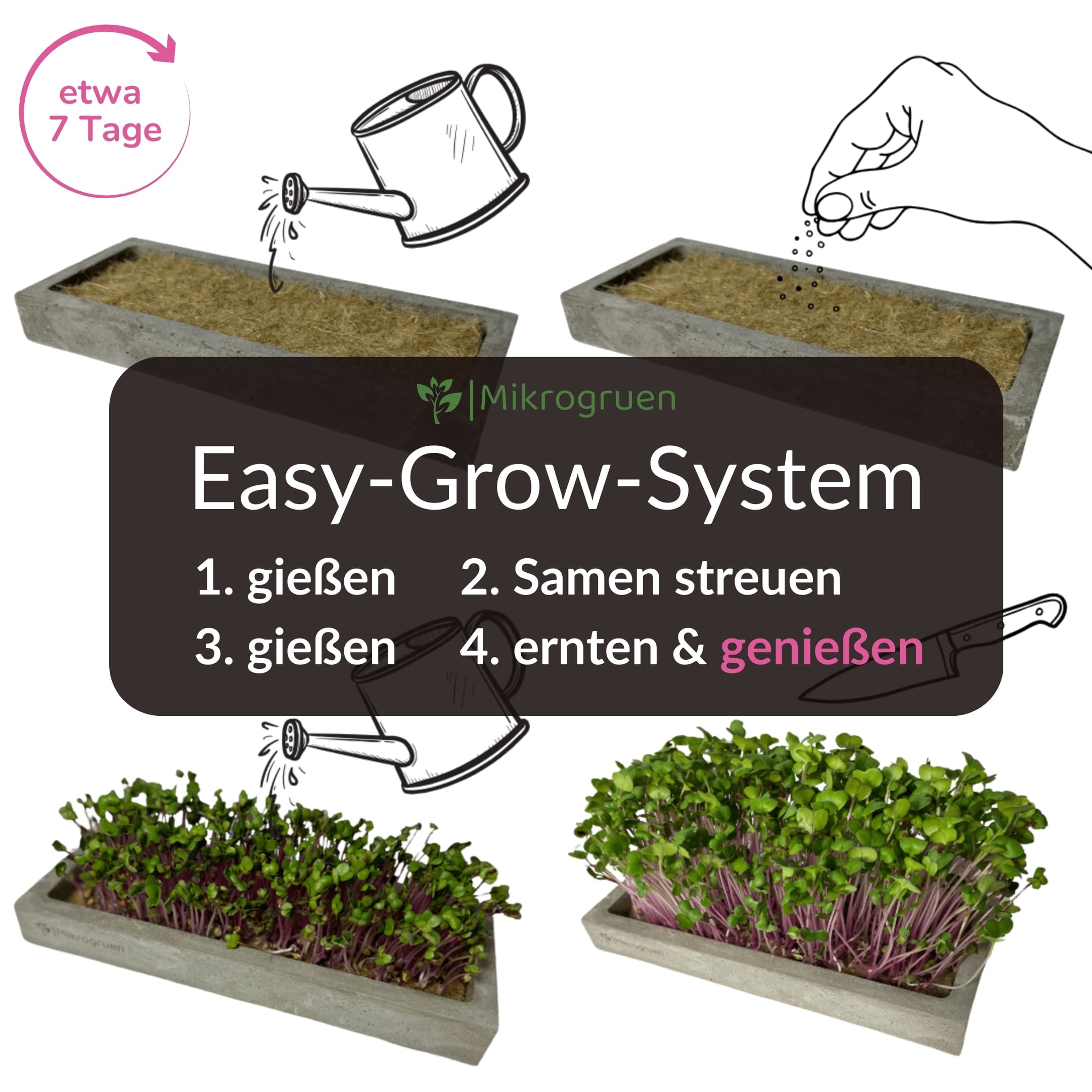 Microgreens Refill Kit
