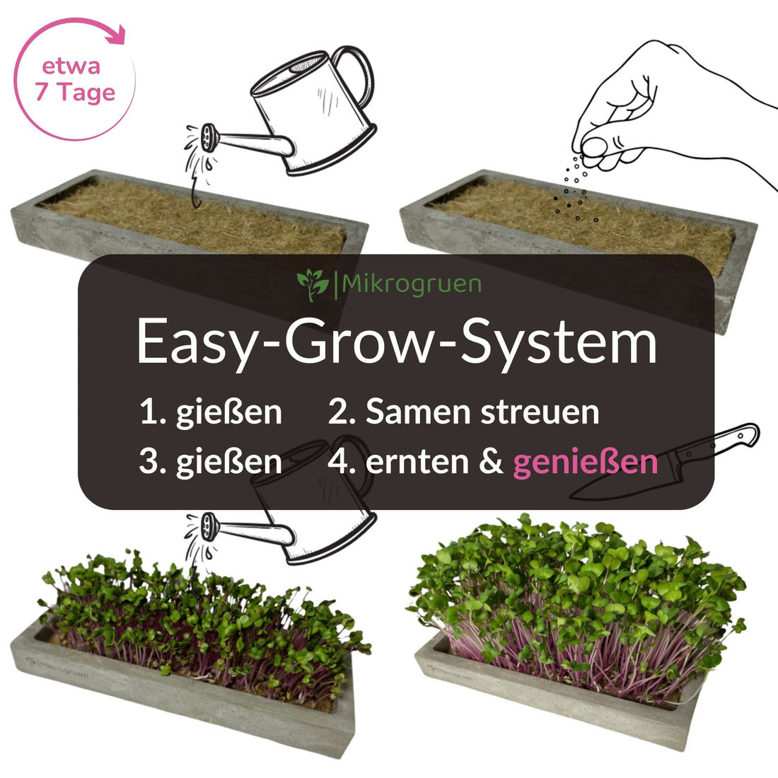 Microgreens Refill Kit
