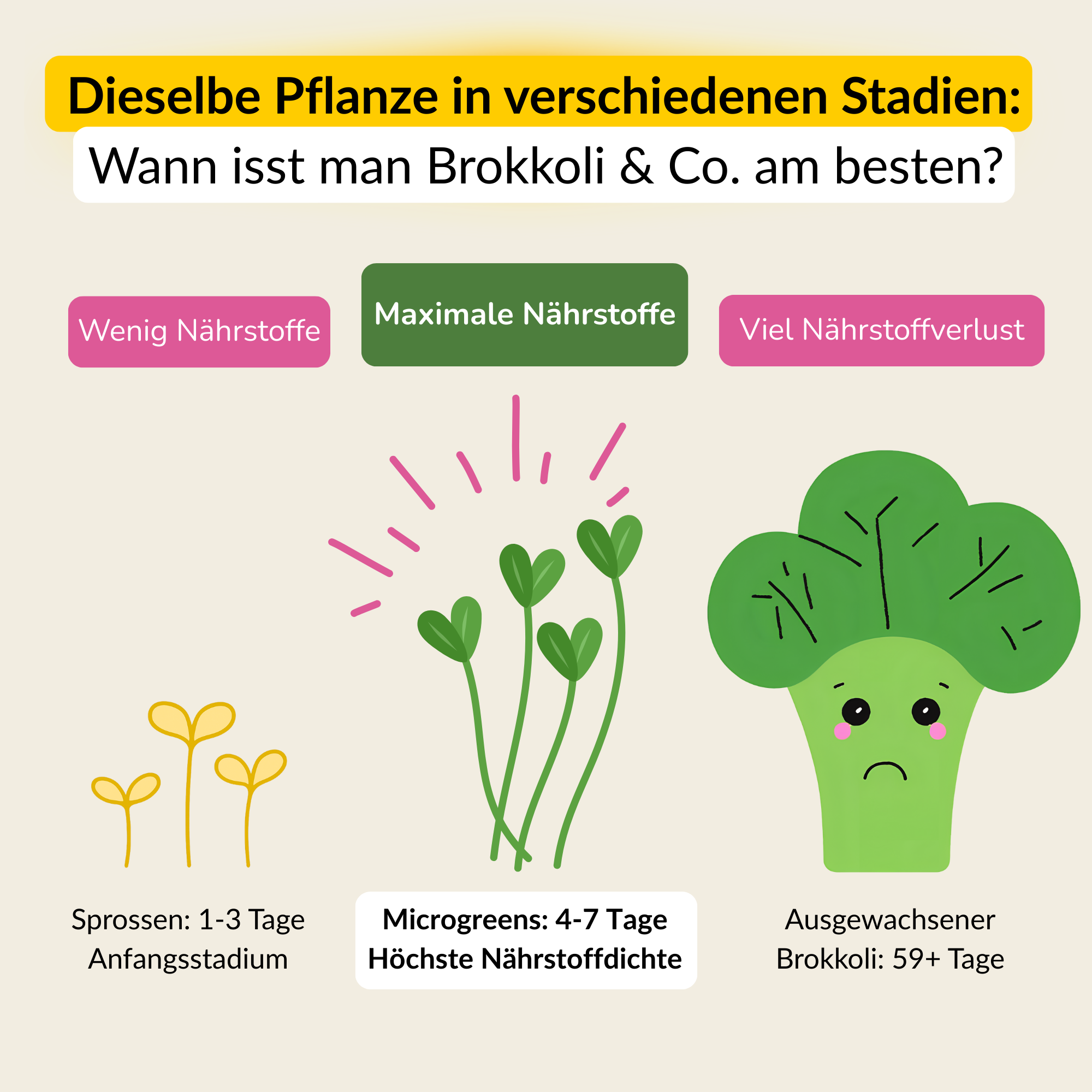 Microgreens Starter Set