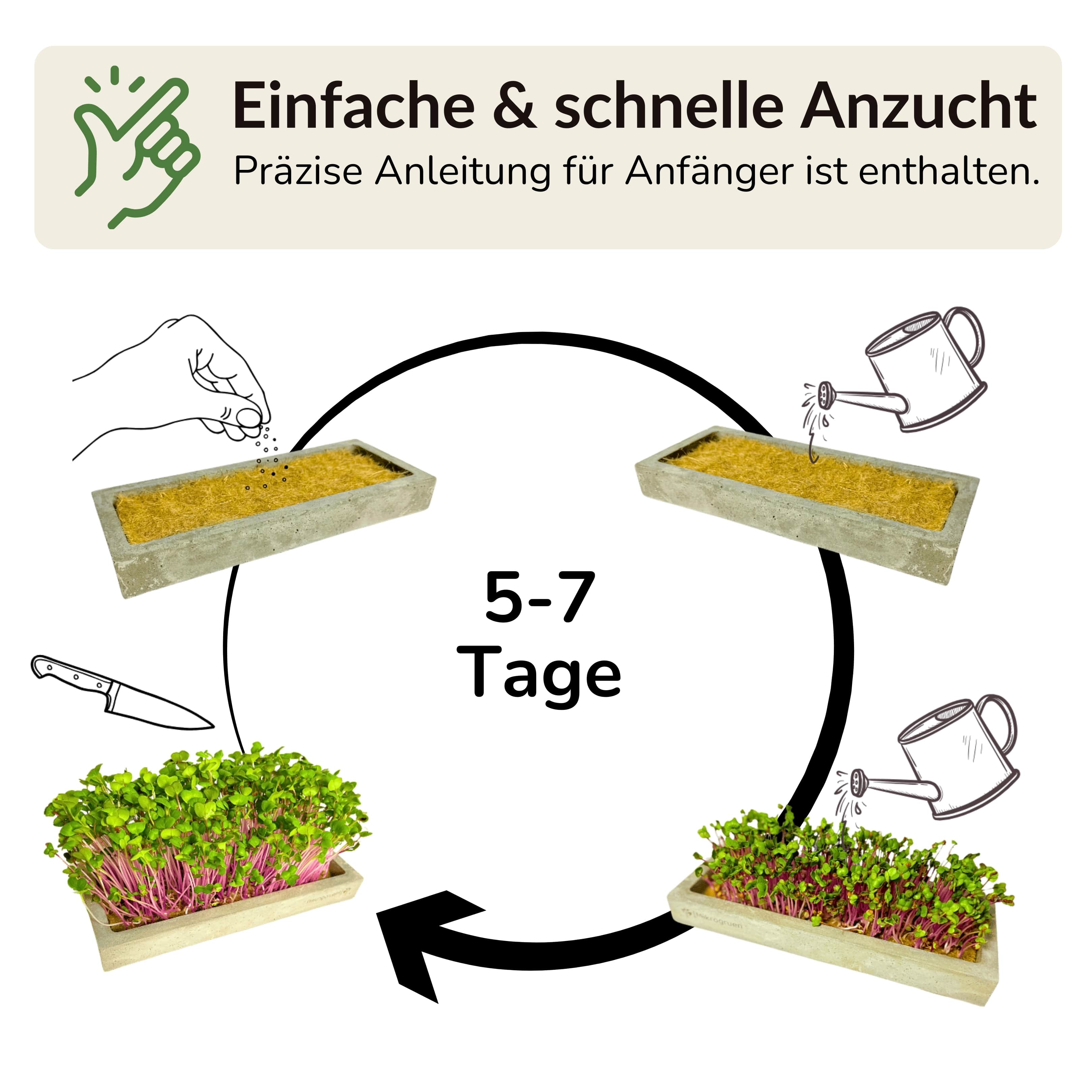 Microgreens Mini Set