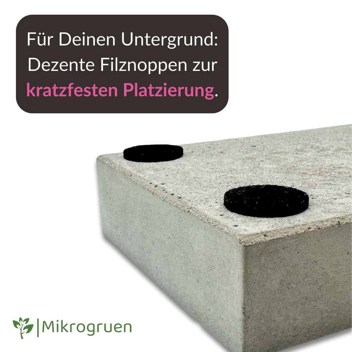 Concrete Microgreen Tray