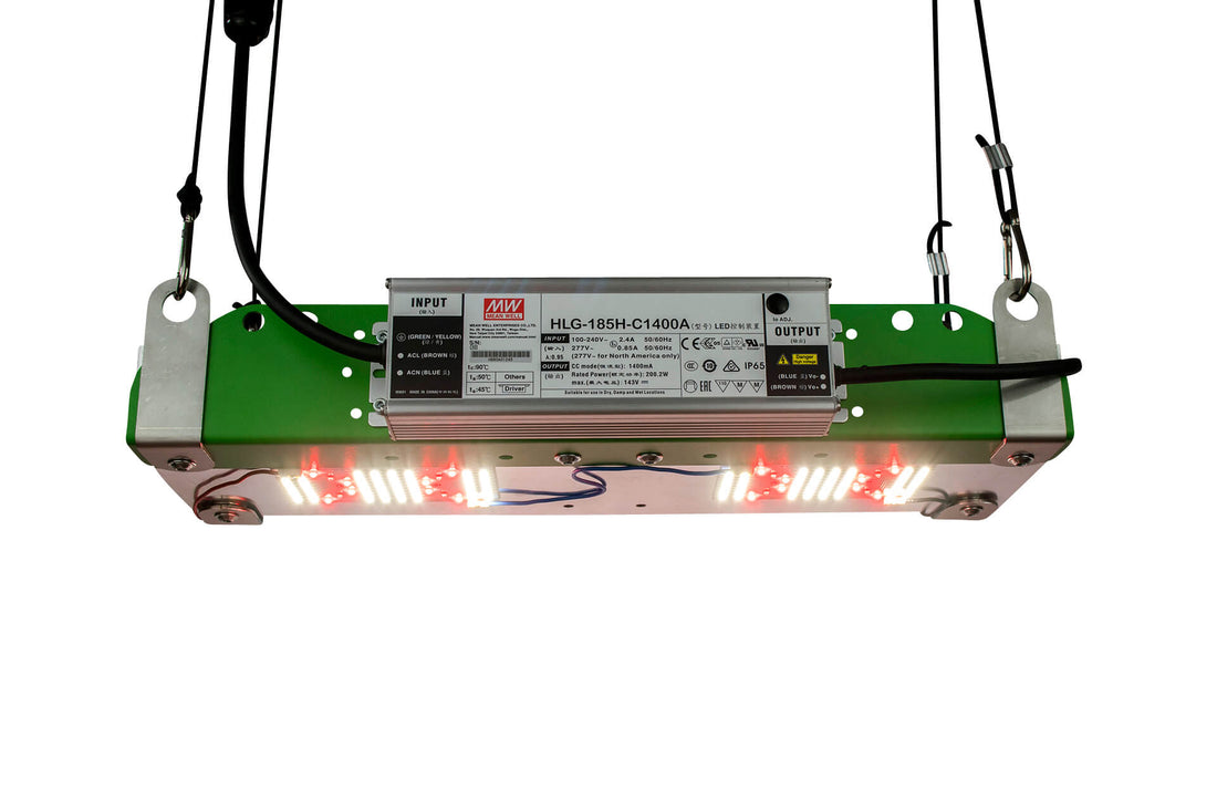DIY-M-KIT SMD 100W