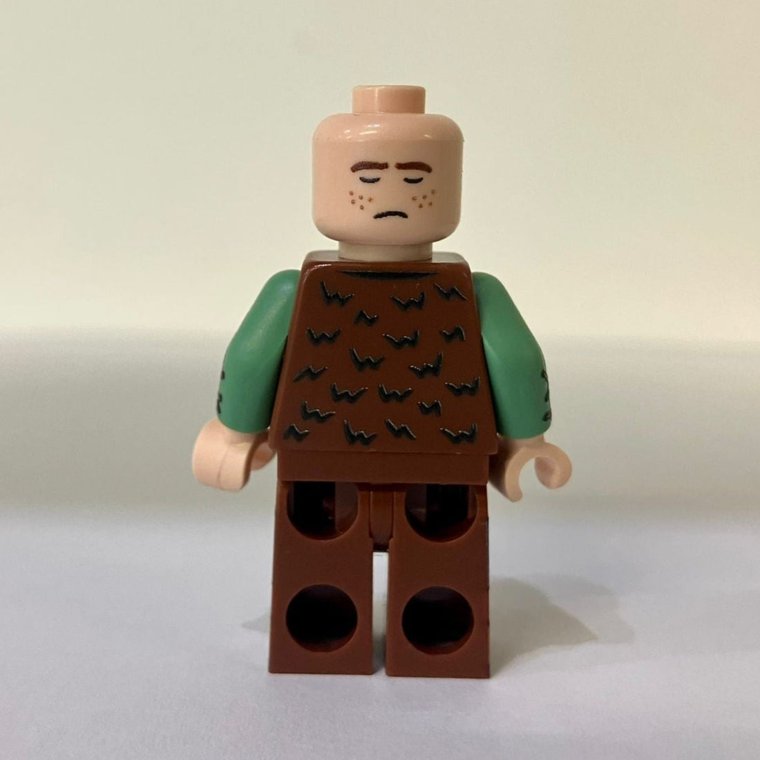 "The Dragon Rider" Minifigure by MBB-Custom