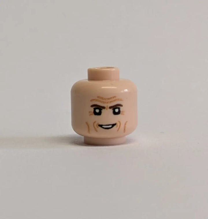 Replacement Head - Villain/Monster Design (Custom) - compatible with LEGO® Minifigure Heads | UV Print | Brickhunter.shop