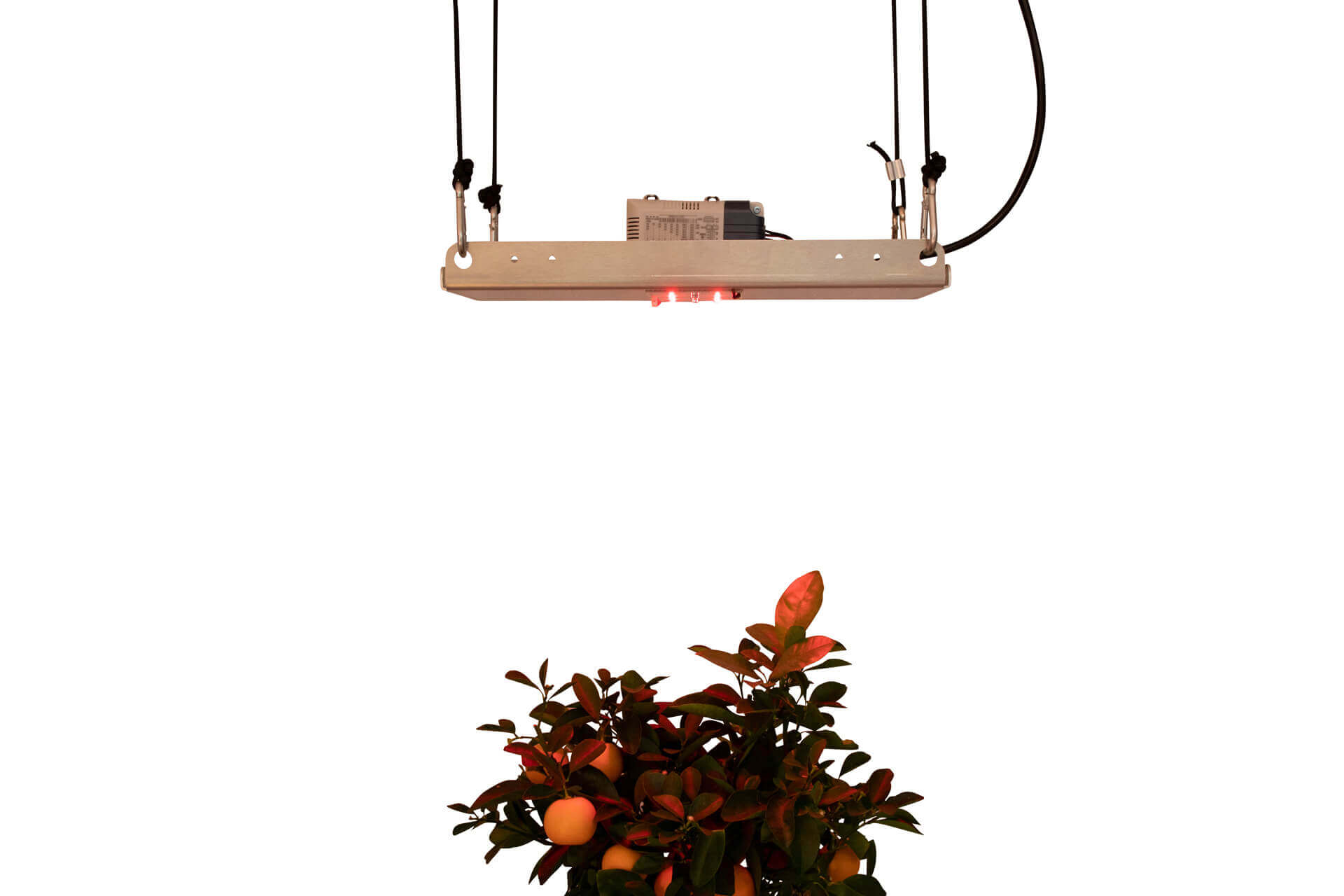 DIY FarRed Kit SMD Standalone – Far-Red "Sleep Light" for Plants | 0–100% Dimmable with Meanwell LCM-25