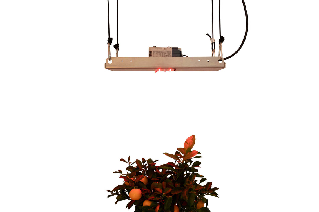 DIY FarRed Kit SMD Standalone – Far-Red "Sleep Light" for Plants | 0–100% Dimmable with Meanwell LCM-25
