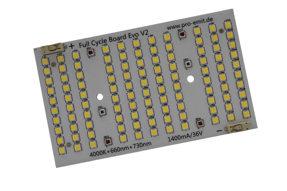 DIY-M-KIT SMD 100W