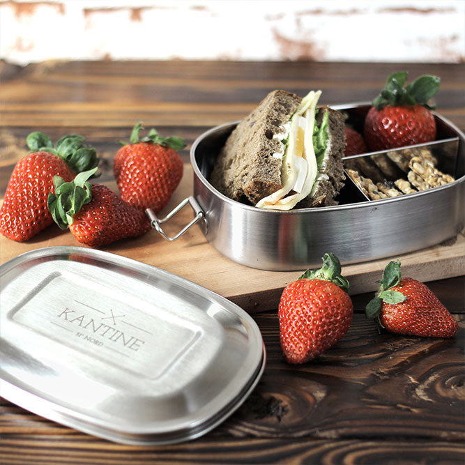 Lunchbox Maya III