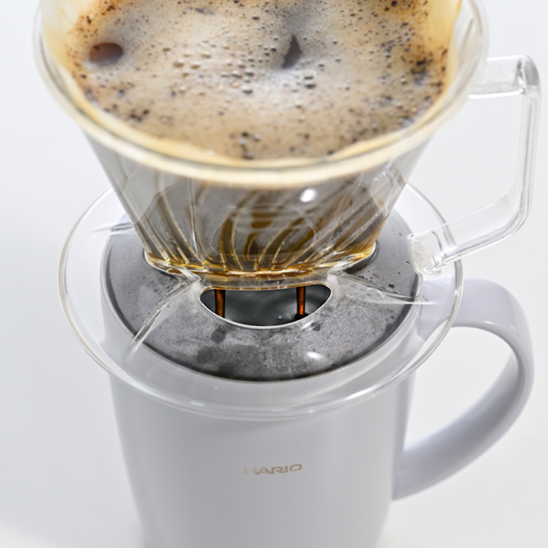 Hario Pegasus Dripper 02 – Clear Plastic Pour-Over Brewer