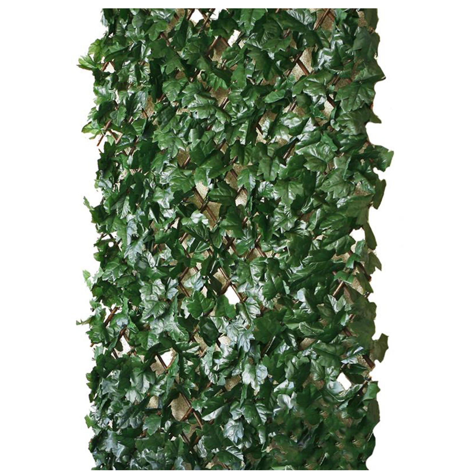 Rankhecke-Weide - 1x2 m - mit Lauboption