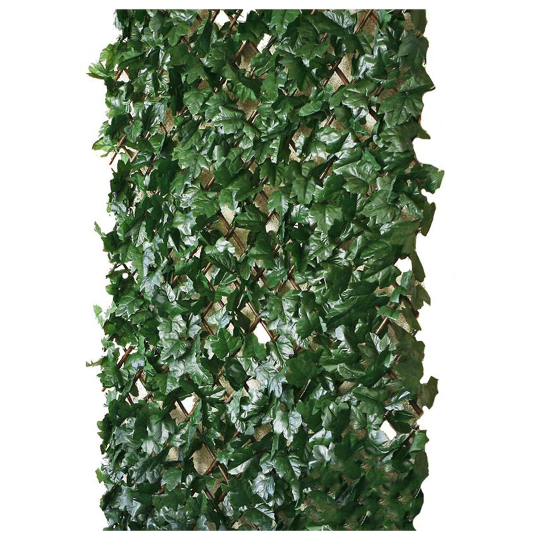 Rankhecke-Weide - 1x2 m - mit Lauboption
