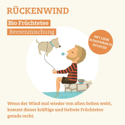 Trink Meer Tee - Rückenwind - Früchtetee - Beutel 15 x 4g