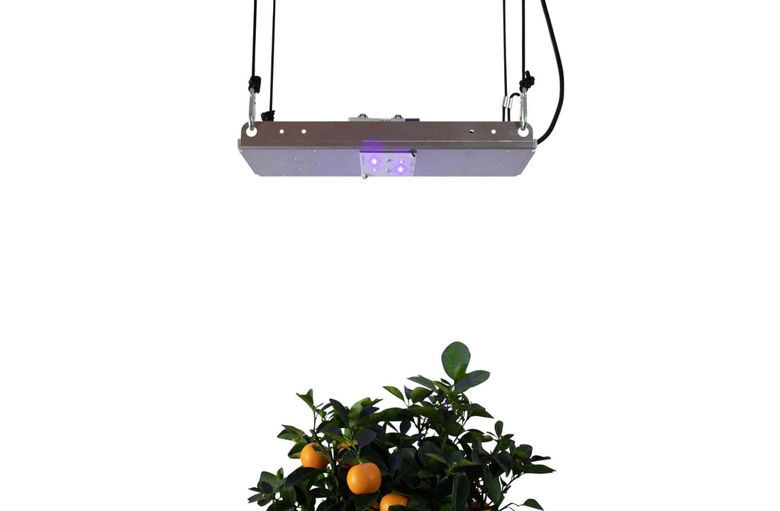 UVA Kit SMD Standalone