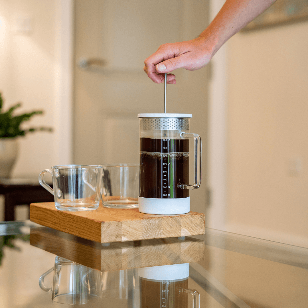 Barista & Co Core Coffee French Press – 8 Cups