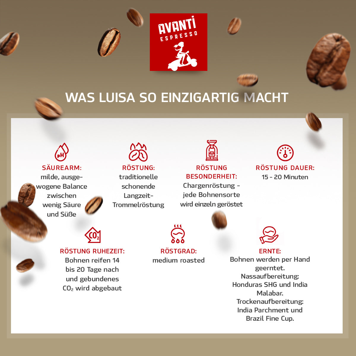 Caffè AVANTI LUISA Kaffee Crème – 500 g Beans (90% Arabica / 10% Robusta), mild & fruity, Swiss Roast