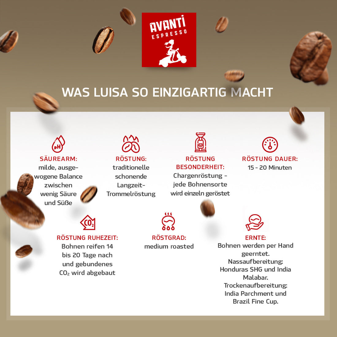 Caffè AVANTI LUISA Kaffee Crème – 500 g Beans (90% Arabica / 10% Robusta), mild & fruity, Swiss Roast