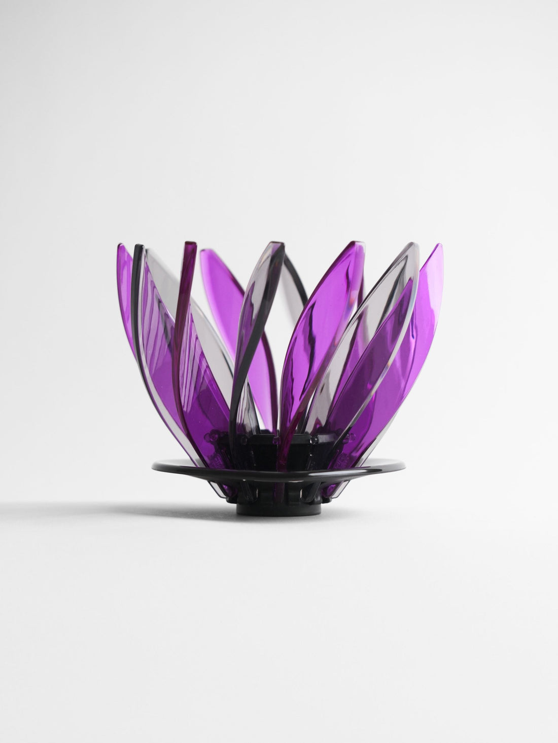 Hario Suiren Rib 6-Piece Set – Elegant Transparent Glassware