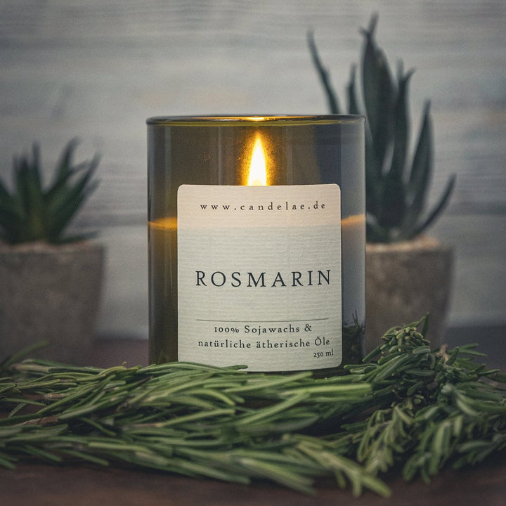 Rosemary Soy Wax Scented Candle in Wine Bottle Glass – Hand-poured, Vegan & Without Synthetic Fragrances (250 ml, approx. 50 h)
