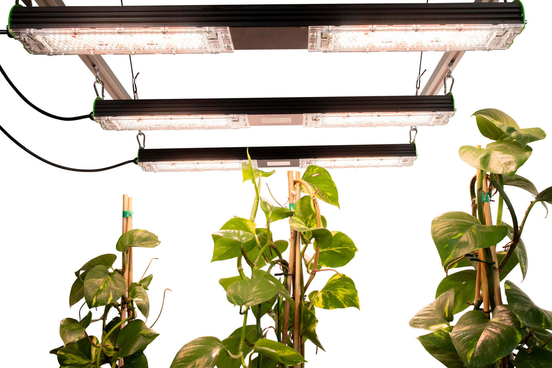 sunbar SMD 360-B