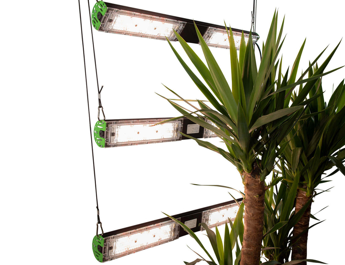 sunbar SMD 360-B