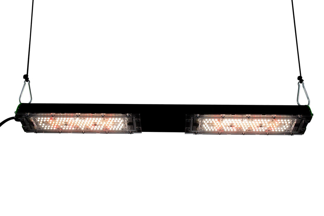 sunbar SMD 120