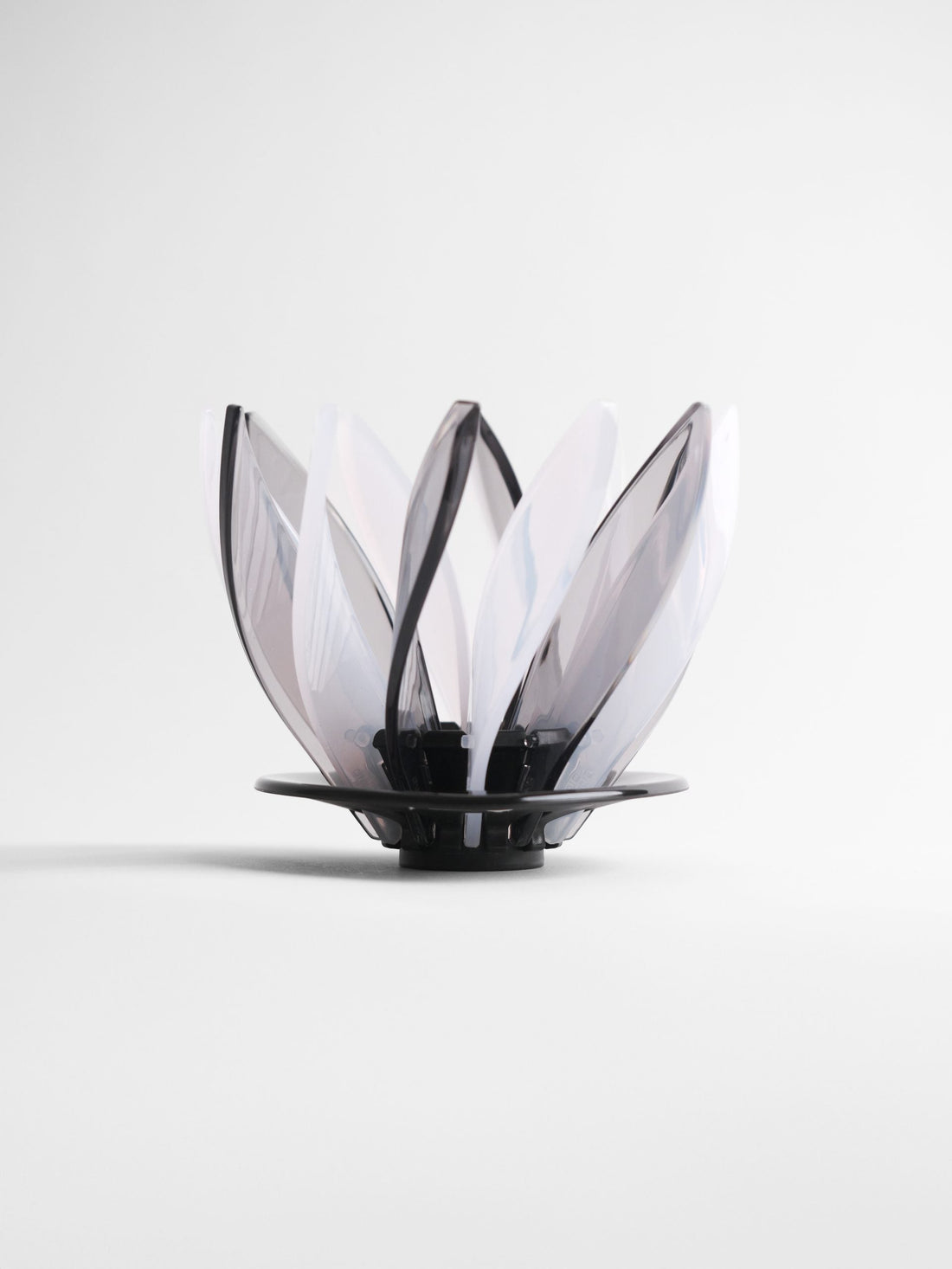 Hario Suiren Rib 6-Piece Set – Elegant Transparent Glassware